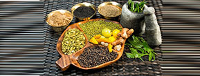 Ayurveda Treatment