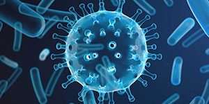 Focus on the prevention of disease